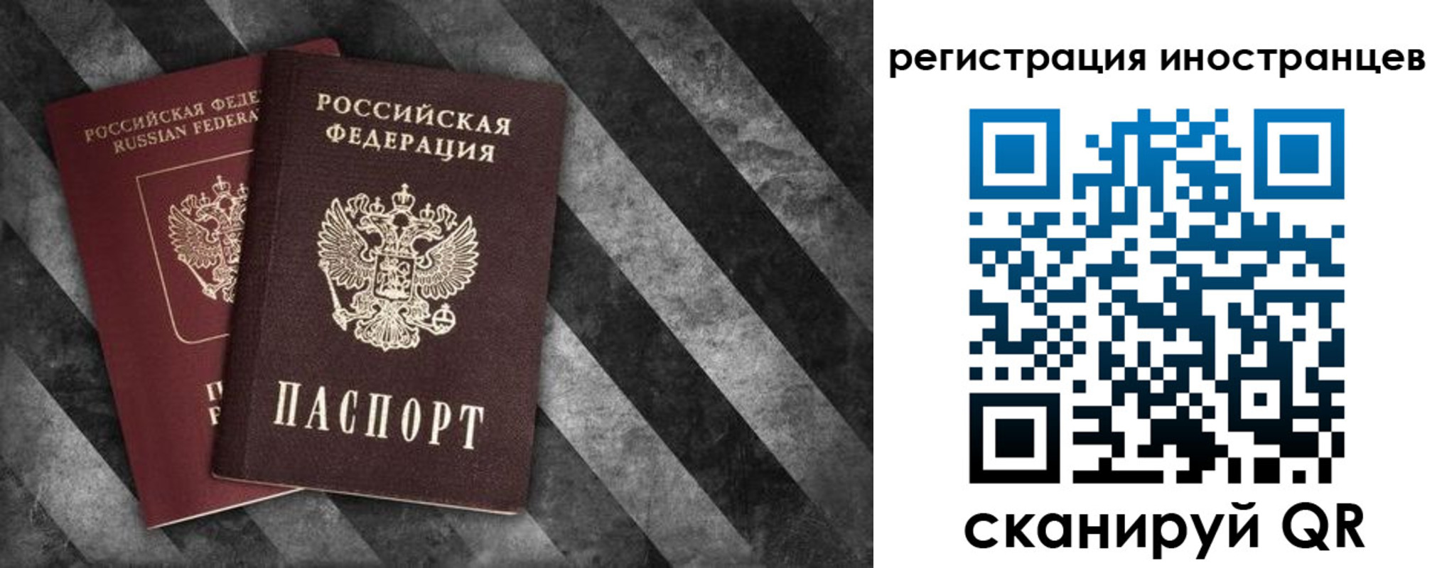 прописка для школы в Киришах